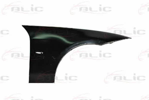 6504040062312Q Blic Front fender right