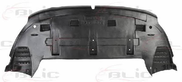 Engine cover Blic 6601-02-0538880P