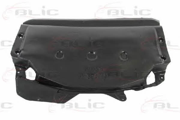6601020065863P Blic Engine cover