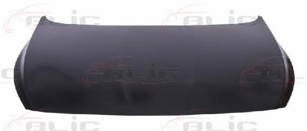 Hood Blic 6803-00-3150281P