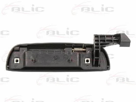 Handle-assist Blic 6010-07-013403P