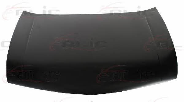 Hood Blic 6803-00-2927282P