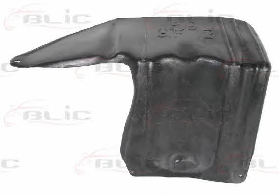 Engine cover Blic 6601-02-2024872P