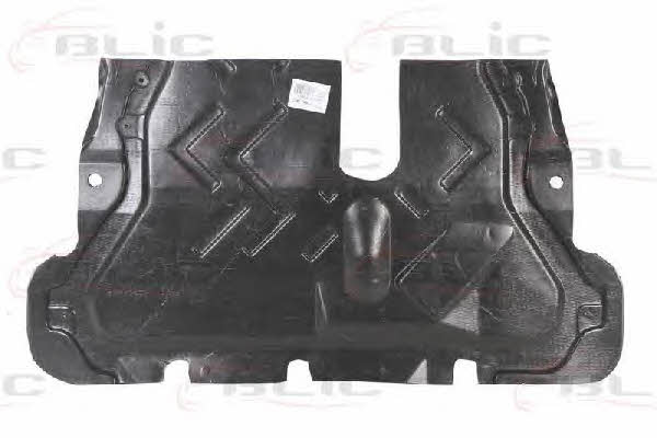 Engine cover Blic 6601-02-2553861P
