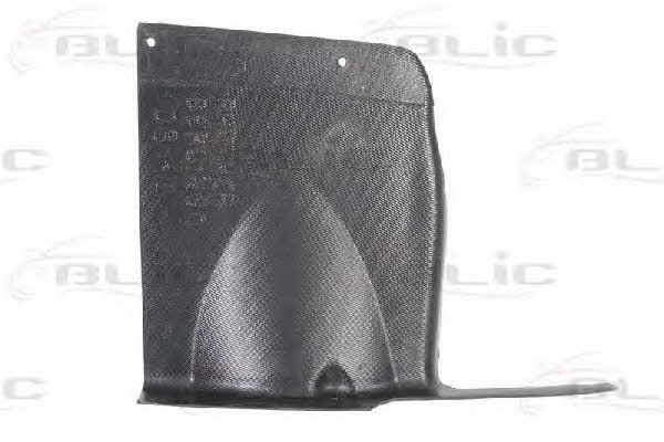 Engine cover Blic 6601-02-0551871P