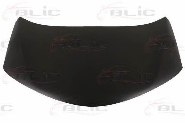 6803008178280P Blic Hood