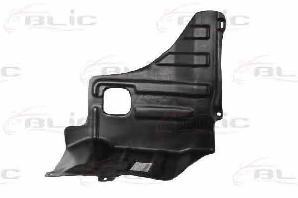Engine cover Blic 6601-02-1132872P