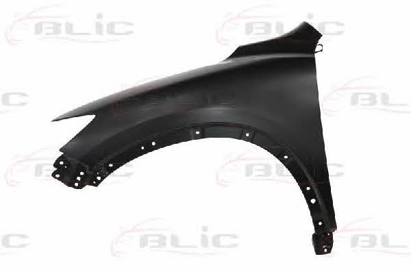 Front fender left Blic 6504-04-3495311P