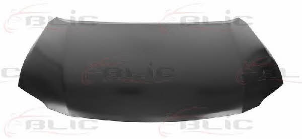 Hood Blic 6803-00-8122282P
