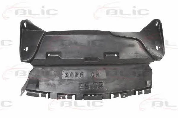 Blic 6601-02-6037881P Engine cover 6601026037881P