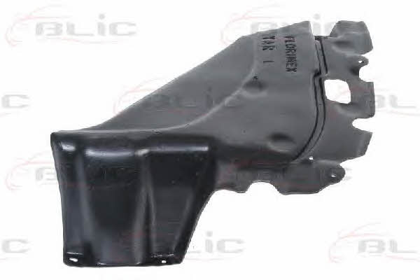 Engine cover Blic 6601-02-8109871P
