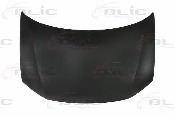 Hood Blic 6803-00-2940281P