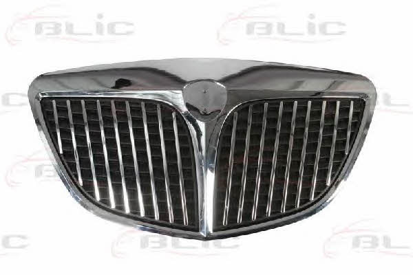 Grille radiator Blic 6502-07-3330992P