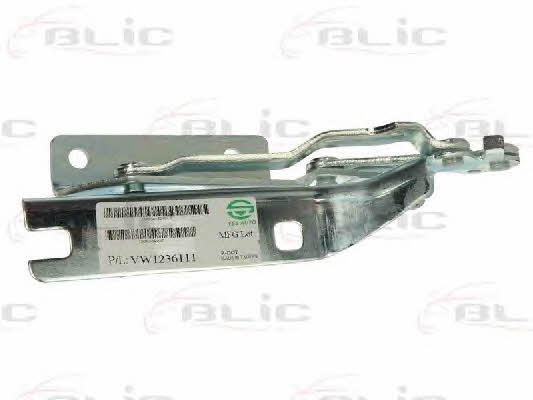 Hood hinge Blic 6802-00-9524452P