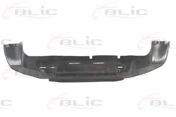 Engine cover Blic 6601-02-2553880P