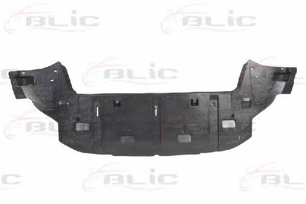Engine cover Blic 6601-02-5519880P