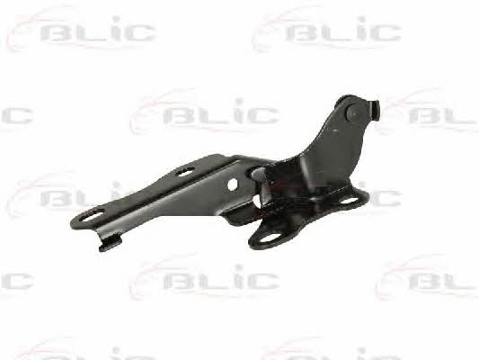 Hood hinge Blic 6802-00-8161451P