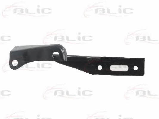 Hood hinge Blic 6802-00-2957452P