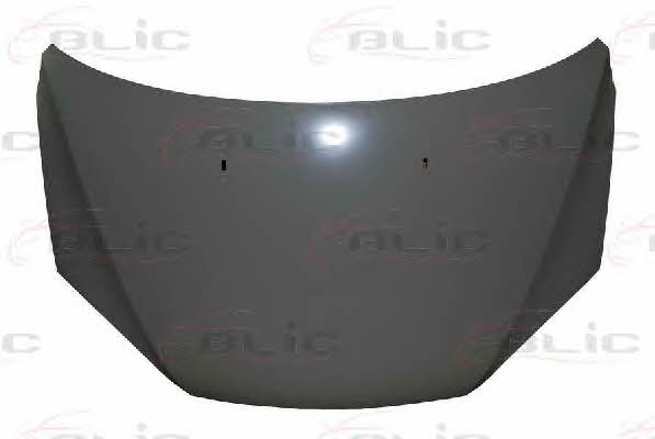 Blic 6803-00-2533280Q Hood 6803002533280Q 6803002533280Q Blic Hood