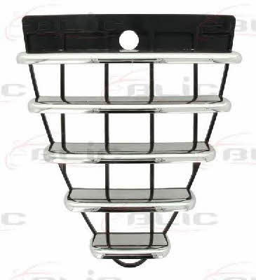 Grille radiator Blic 6502-07-0109993Q