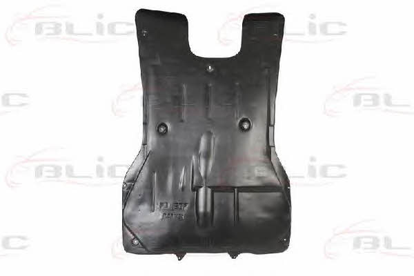 Engine cover Blic 6601-02-5541860P