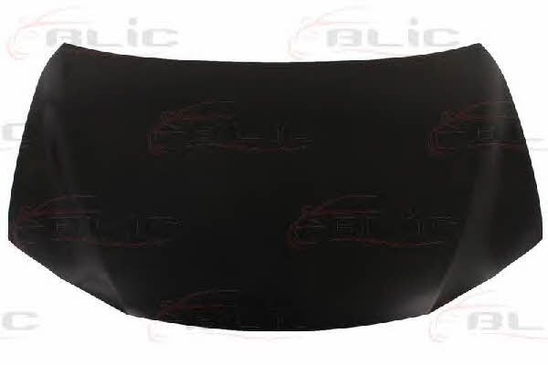 6803008180280P Blic Hood