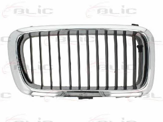 Grille radiator Blic 6502-07-0075992P