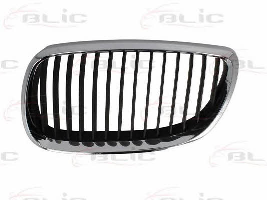 Grille radiator Blic 6502-07-00629911P