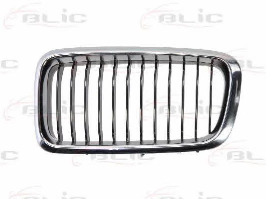 Grille radiator Blic 6502-07-0075995P