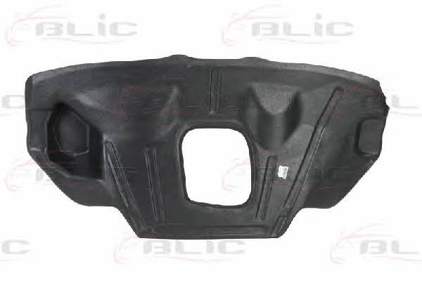 Engine cover Blic 6601-02-9536860P