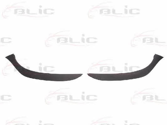 Headlight strip Blic 6502-07-6034210P