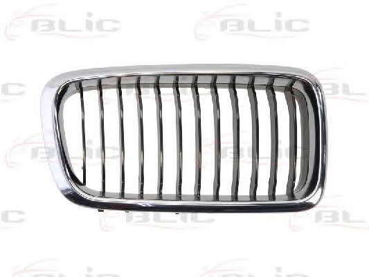 Grille radiator Blic 6502-07-0075996P