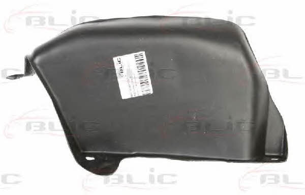 Engine cover Blic 6601-02-9522872P
