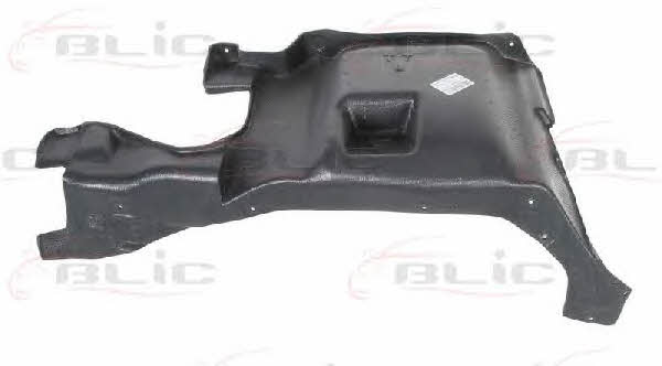 Engine cover Blic 6601-02-0020871P