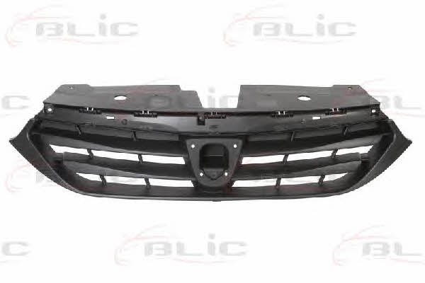 Grille radiator Blic 6502-07-1310990P