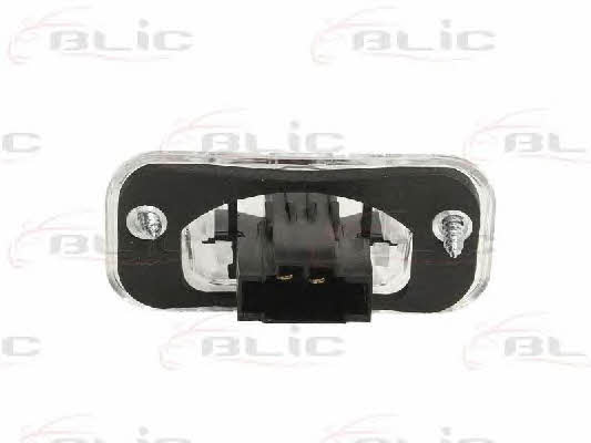 540205344905 Blic License lamp