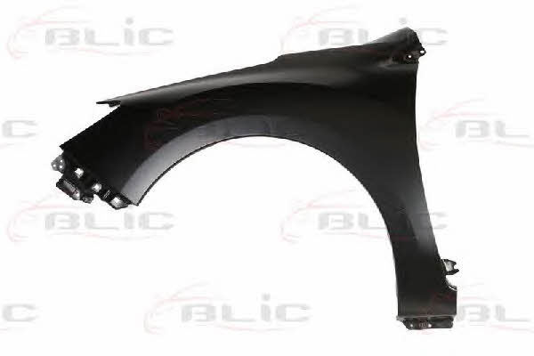 Front fender left Blic 6504-04-6735311P