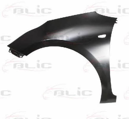 Front fender KIA Ceed (Kia Ceed): 6504043268311P Blic Front fender left