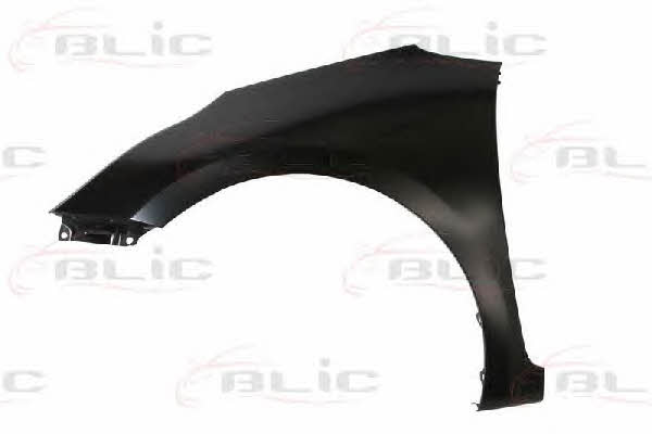 Front fender left Blic 6504-04-3268313P