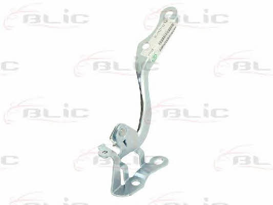 Hood hinge Blic 6802-00-8155451P