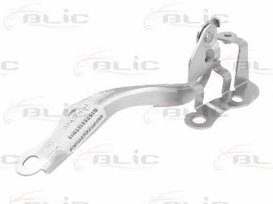 Hood hinge Blic 6802-00-8155452P
