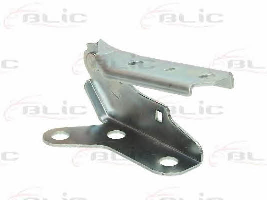 Hood hinge Blic 6802-00-9506451P