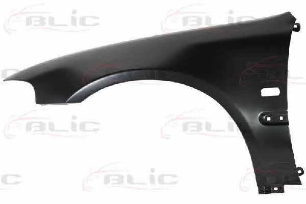Front fender left Blic 6504-04-2911313P
