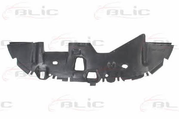 Engine cover Blic 6601-02-3745880P