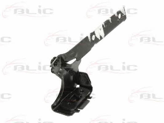 Hood hinge Blic 6802-00-2022451P