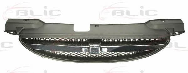 Grille radiator Blic 6502-07-1135991P