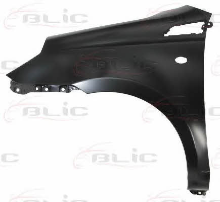 Front fender Chevrolet Aveo: 6504041135313P Blic Front fender left