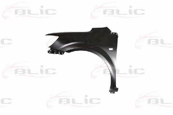 Front fender left Blic 6504-04-1136311P