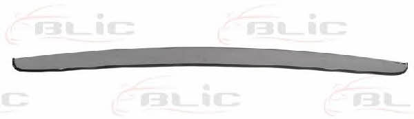 Hood molding Blic 5513-00-1132921P