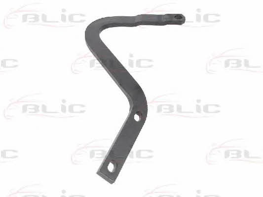 Hood hinge Blic 6802-00-5022451P